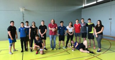 Projektarbeit Fussball/Volleyball-Turnier Oz DeLu Projektarbeit Fussball/Volleyball-Turnier Oz DeLu