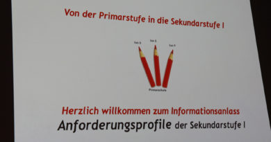 Sek B, E oder P? Welche Stufe passt zu meinem Kind? Sek B, E oder P? Welche Stufe passt zu meinem Kind?